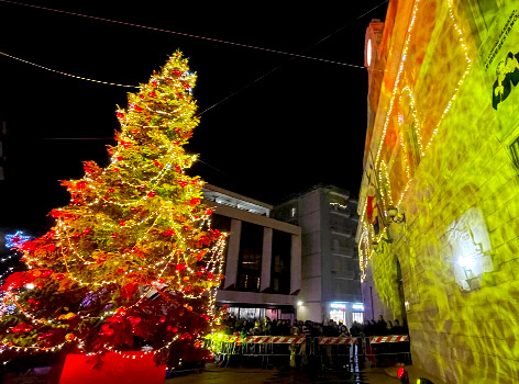 Beleuchtung des Corato-Weihnachtsbaums 2024